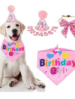 Adoggygo Dog Birthday Set
